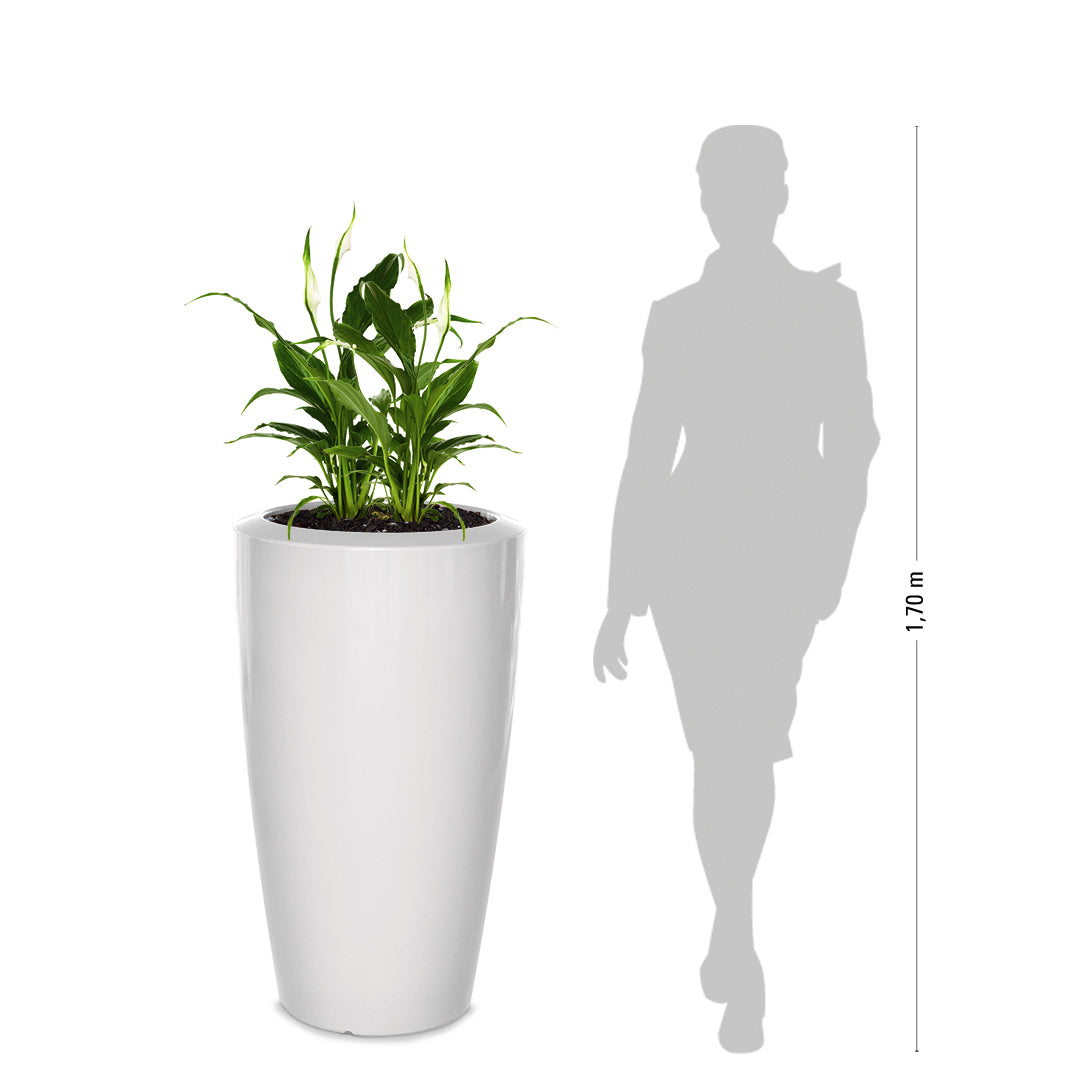 degardo ROVIO III Pflanzkübel, weiß, Maße neben Mensch als Vergleich