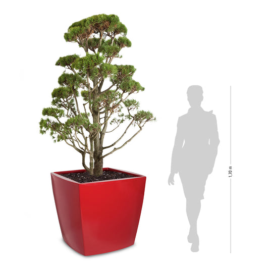 TREVIA 900 Q Pflanzkübel, rot