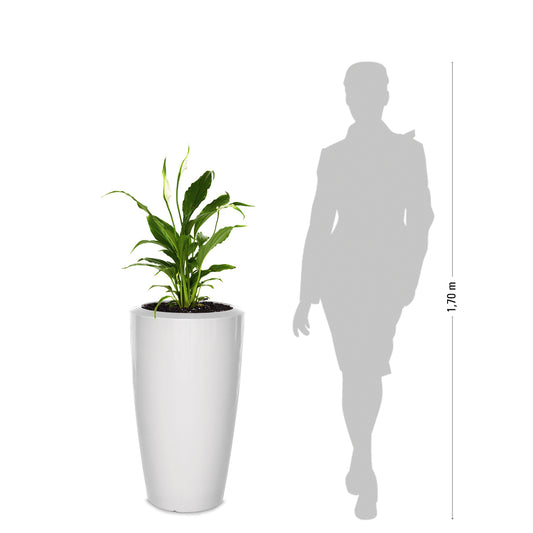 degardo ROVIO IV Pflanzkübel in weiß freigestellt Maße, neben Mensch als Vergleich