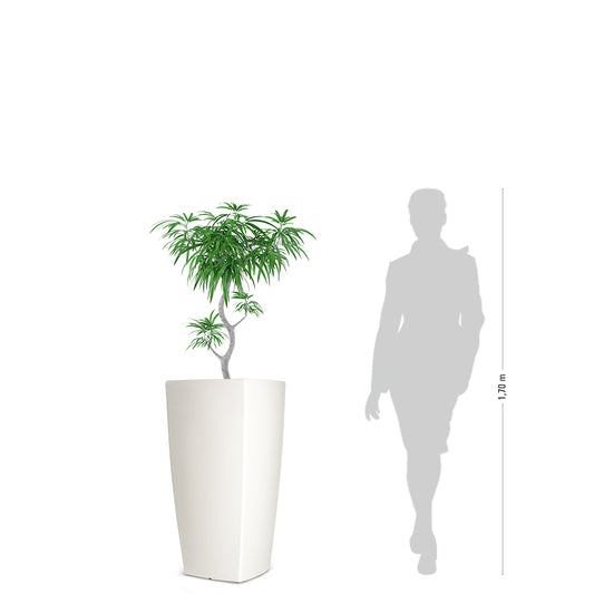 TREVIA IV Pflanzkübel, weiß