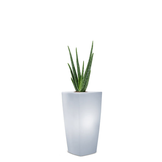 TREVIA V Pflanzkübel, weiß, beleuchtet LED RGB