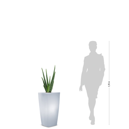 TREVIA V Pflanzkübel, weiß, beleuchtet LED RGB
