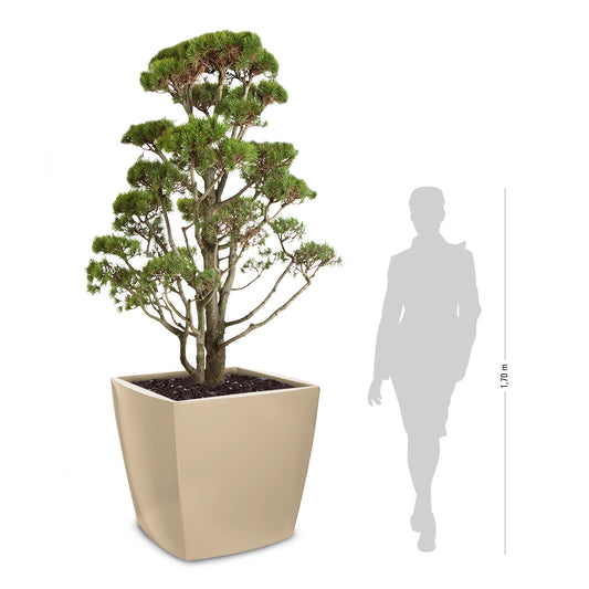 TREVIA 900 Q Pflanzkübel, clay