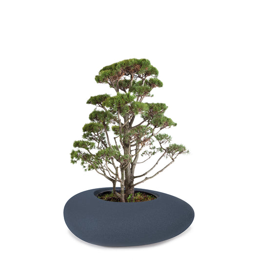 STORUS III Pflanzgefäß, anthrazit