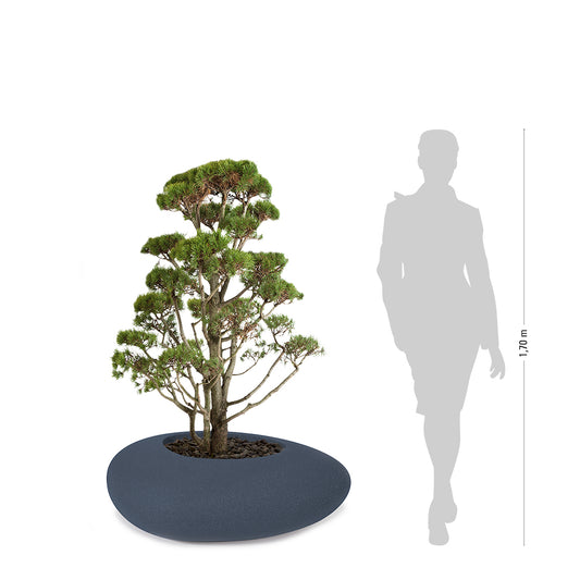 STORUS III Pflanzgefäß, anthrazit