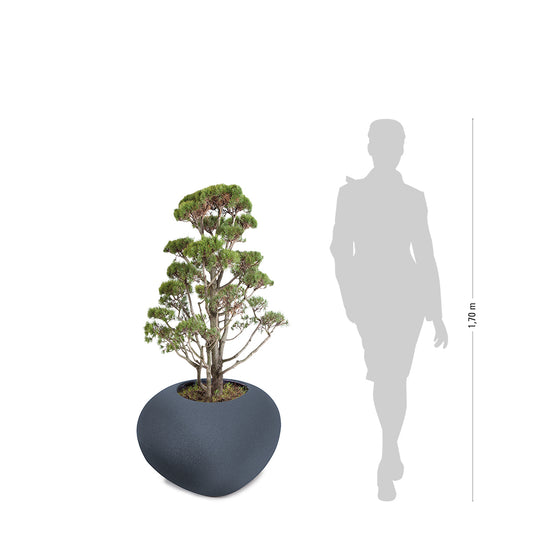 STORUS IV Pflanzgefäß, anthrazit