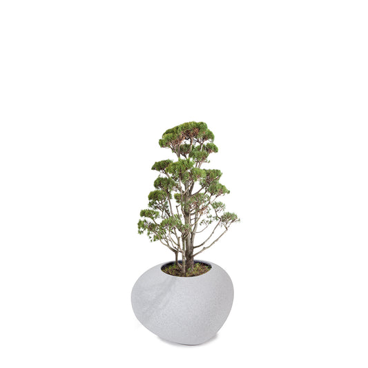 STORUS IV Pflanzgefäß, granit hell