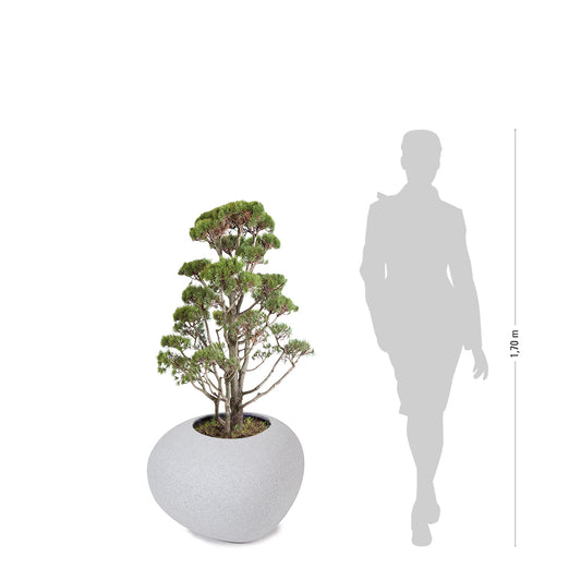 STORUS IV Pflanzgefäß, granit hell