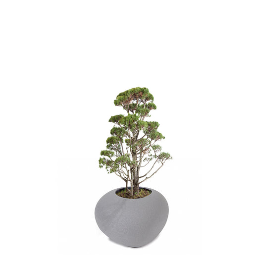 STORUS IV Pflanzgefäß, granit dunkel