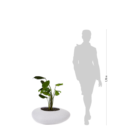 degardo STORUS VI Pflanzgefäß granit hell, freigestellt, Maße neben Mensch als Vergleich