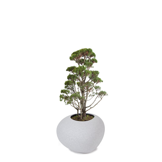 degardo STORUS VII Pflanzgefäß, granit hell freigestellt