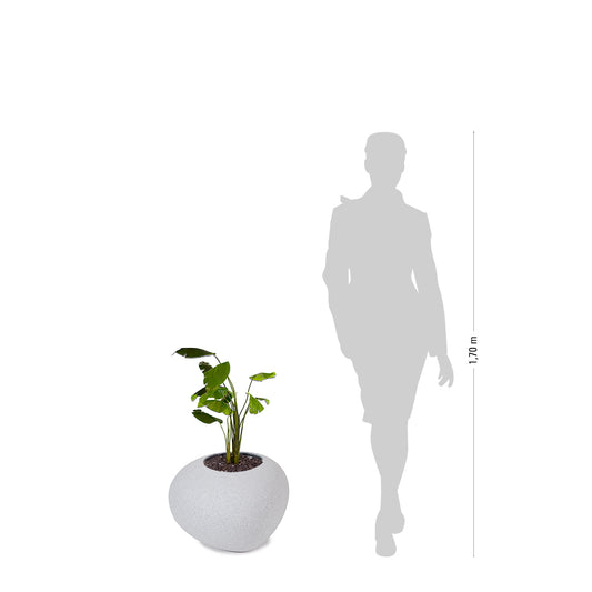 degardo STORUS VII Pflanzgefäß weiß, Maße, neben Mensch als Vergleich