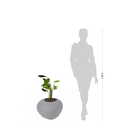 degardo STORUS VII Pflanzgefäß granit dunkel, freigestellt, Maße neben Mensch als Vergleich