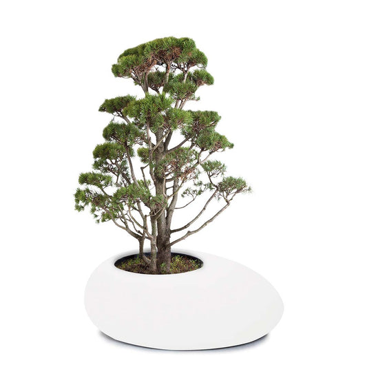 STORUS II Pflanzgefäß, weiß, beleuchtet ESL warmweiß