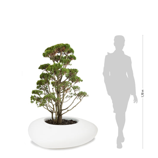 STORUS III Pflanzgefäß, weiß, beleuchtet LED RGB