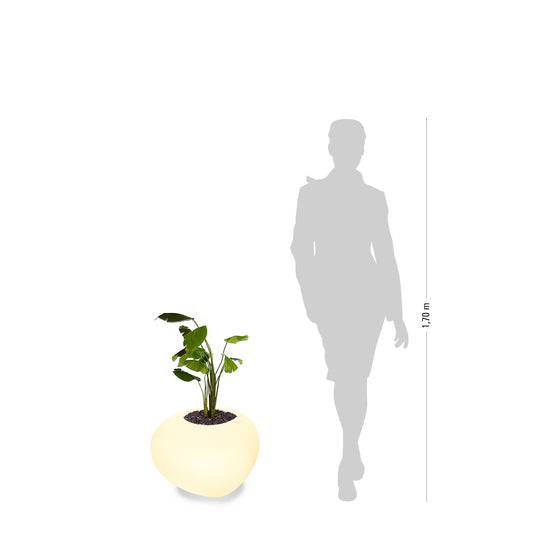 degardo STORUS VII Pflanzgefäß beleuchtet LED RGB Maße, neben Mensch als Vergleich