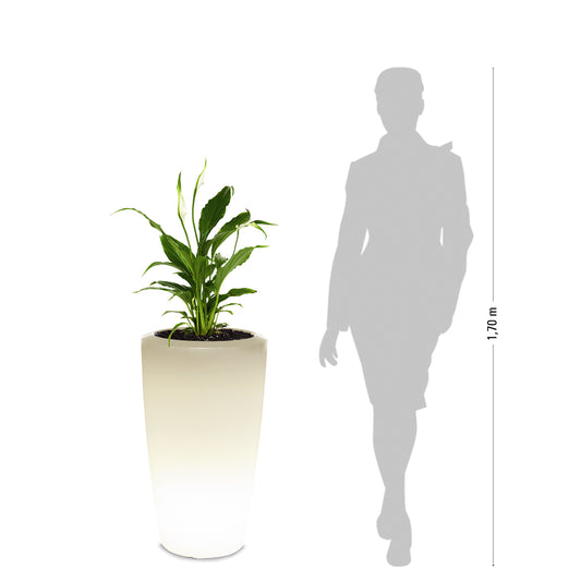 degardo ROVIO IV Pflanzkübel in weiß beleuchtet freigestellt Maße, neben Mensch als Vergleich