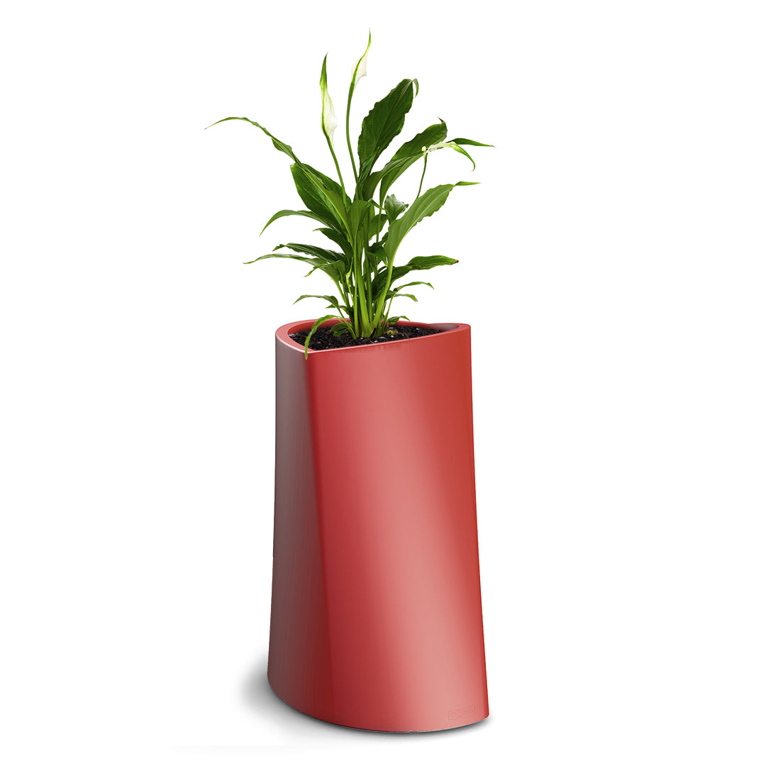 VARIA Pflanzkübel, rot – degardo