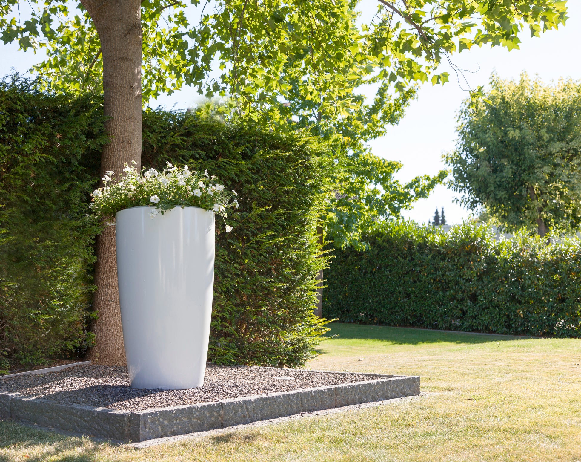 degardo ROVIO III Pflanzkübel in weiß, Outdoor im Garten